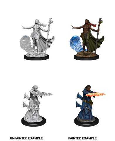 Wizkids: Nolzur's Marvelous Miniatures: Human Wizard