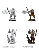 Wizkids: Nolzur's Marvelous Miniatures: Firbolg Druid