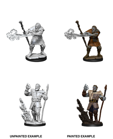 Wizkids: Nolzur's Marvelous Miniatures: Firbolg Druid