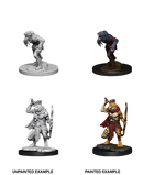 Wizkids: Nolzur's Marvelous Miniatures: Wererat & Weretiger