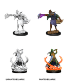 Wizkids: Nolzur's Marvelous Miniatures: Arcanaloth & Ultroloth
