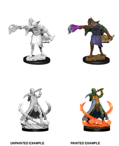 Wizkids: Nolzur's Marvelous Miniatures: Arcanaloth & Ultroloth