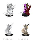 Wizkids: Nolzur's Marvelous Miniatures: Lich & Mummy Lord