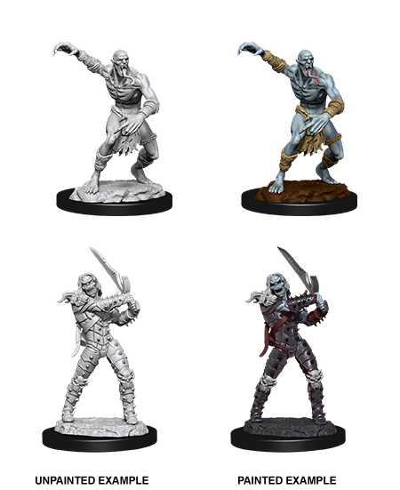 Wizkids: Nolzur's Marvelous Miniatures: Wight & Ghast