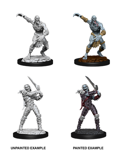 Wizkids: Nolzur's Marvelous Miniatures: Wight & Ghast