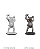 Wizkids: Nolzur's Marvelous Miniatures: Ettin