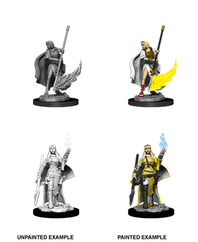 Wizkids: Pathfinder Deep Cuts: Female Human Oracle (Magic User)