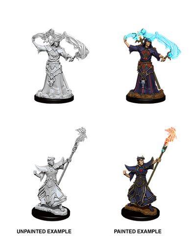 Wizkids: Pathfinder: Deep Cuts: Human Sorcerer