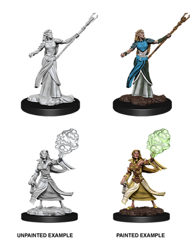 Wizkids: Nolzur's Marvelous Miniatures: Elf Sorcerer