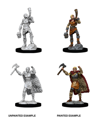 Wizkids: Nolzur's Marvelous Miniatures: Human Barbarian