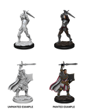 Wizkids: Nolzur's Marvelous Miniatures: Human Paladin