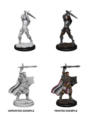 Wizkids: Nolzur's Marvelous Miniatures: Human Paladin