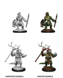 Wizkids: Nolzur's Marvelous Miniatures: Lizardfolk & Lizardfolk Shaman