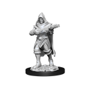 Wizkids: Pathfinder: Battles Miniatures: Male Human Rogue