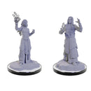 Wizkids Nolzur's Marvelous Miniatures: Elf Wizards