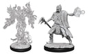 Wizkids: Nolzur's Marvelous Miniatures: Allip & Deathlock