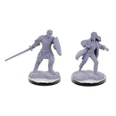 Wizkids Nolzur's Marvelous Miniatures: Reborn Paladin & Warlock