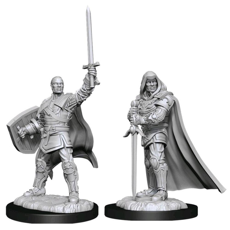 Wizkids: Nolzur's Marvelous Miniatures: Human Paladin