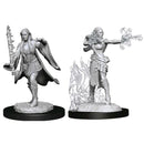 Wizkids: Nolzur's Marvelous Miniatures: Multiclass Warlock + Sorcerer