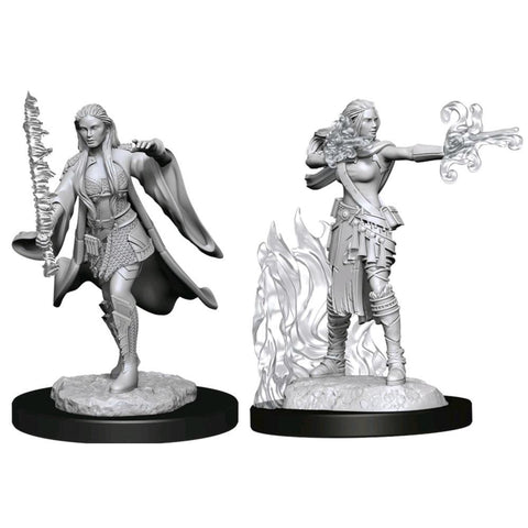 Wizkids: Nolzur's Marvelous Miniatures: Multiclass Warlock + Sorcerer