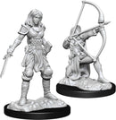 Wizkids: Pathfinder Battles Miniatures: Human Fighter Female
