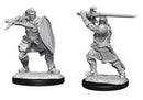 Wizkids: Nolzur's Marvelous Miniatures: Human Paladin Male