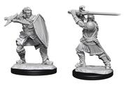 Wizkids: Nolzur's Marvelous Miniatures: Human Paladin Male