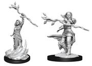 Wizkids: Nolzur's Marvelous Miniatures: Human Druid Female