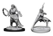Wizkids Nolzur's Marvelous Miniatures: Human MonkÂ  Female