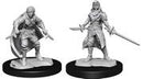 Wizkids Nolzur's Marvelous Miniatures: Half-Elf RogueÂ  Female