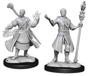 Wizkids: Nolzur's Marvelous Miniatures: Half-Elf Wizard Male
