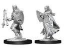Wizkids: Nolzur's Marvelous Miniatures: Kalashtar Cleric Female