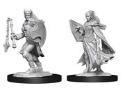 Wizkids: Nolzur's Marvelous Miniatures: Kalashtar Cleric Female