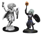 Wizkids: Nolzur's Marvelous Miniatures: Changeling Cleric