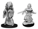 Wizkids: Nolzur's Marvelous Miniatures: Night Hag & Dusk Hag