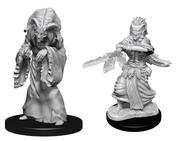 Wizkids: Nolzur's Marvelous Miniatures: Night Hag & Dusk Hag
