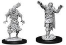 Wizkids: Nolzur's Marvelous Miniatures: Scarecrow & Stone Cursed