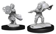 Wizkids: Pathfinder Deep Cuts: Halfling Wizard Male