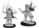 Wizkids: Pathfinder Deep Cuts: Elf Sorcerer Male