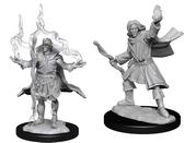 Wizkids: Pathfinder Deep Cuts: Elf Sorcerer Male