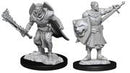 Wizkids: Pathfinder Deep Cuts: Human Champion Male
