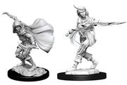 Wizkids: Pathfinder Deep Cuts: Human Rogue Female