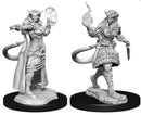 Wizkids: Nolzur's Marvelous Miniatures: Tiefling Sorcerer Female