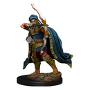 Wizkids Icons of the Realms Premium Miniatures: Elf Rogue