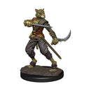 Wizkids Icons of the Realms Premium Miniatures: Tabaxi Rogue