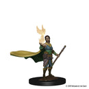 Wizkids Icons of the Realms Premium Miniatures: Elf Druid