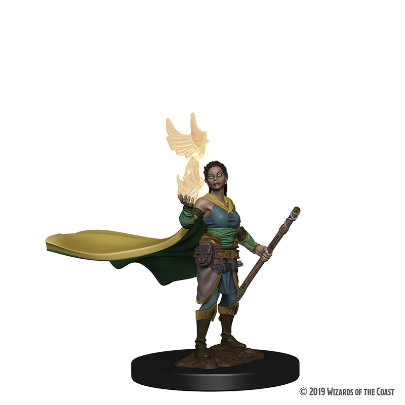 Wizkids Icons of the Realms Premium Miniatures: Elf Druid