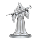 Magic the Gathering Unpainted Miniatures: Lord Xander, the Collector