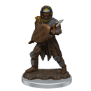 Wizkids Icons of the Realms Premium Miniatures: Human Fighter