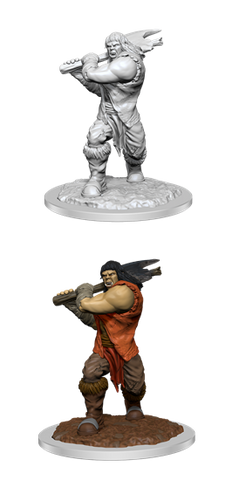 Wizkids: Nolzur's Marvelous Miniatures: Ogre